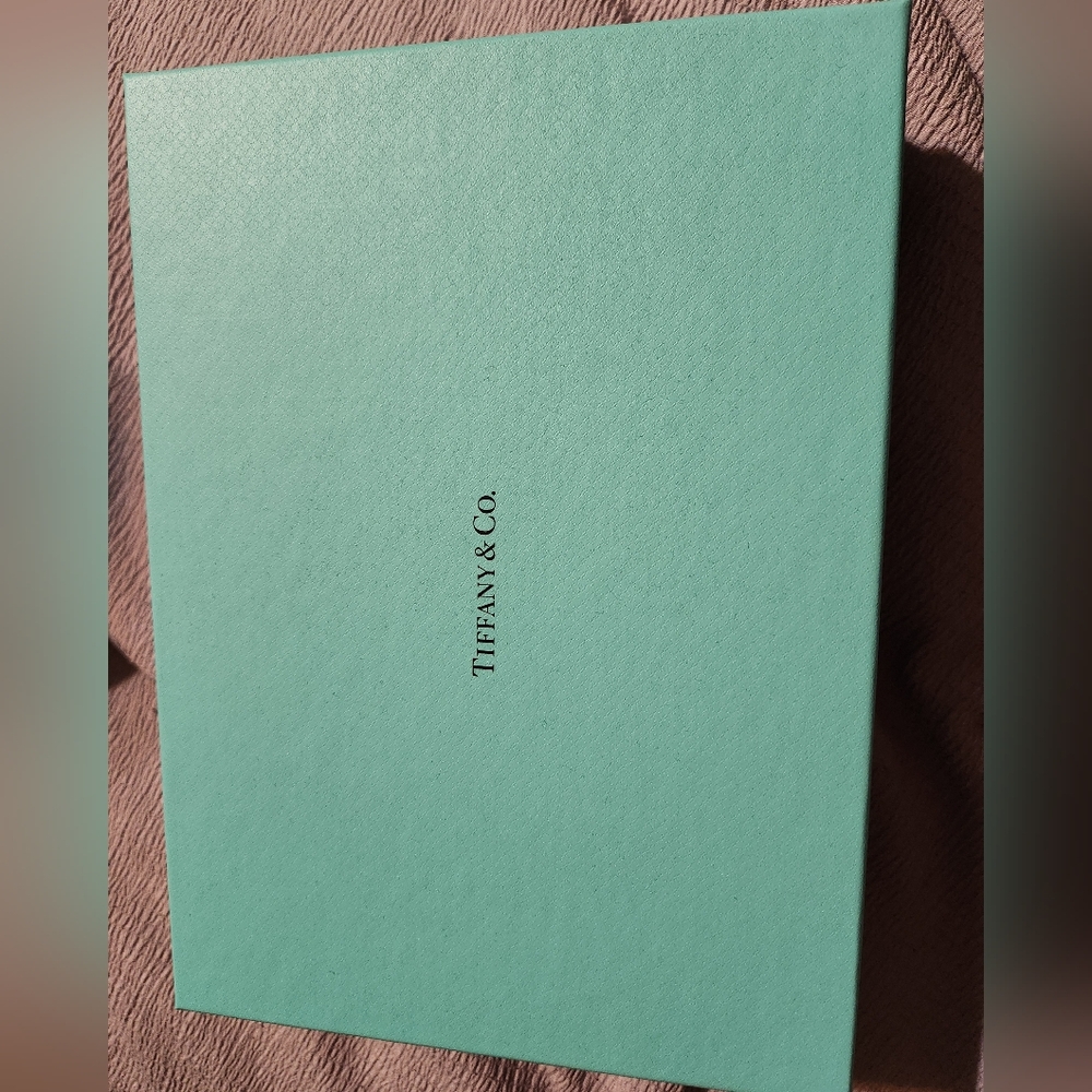 Tiffany & co box empty